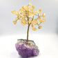 Citrine Gemstone Tree on Amethyst Cluster Base