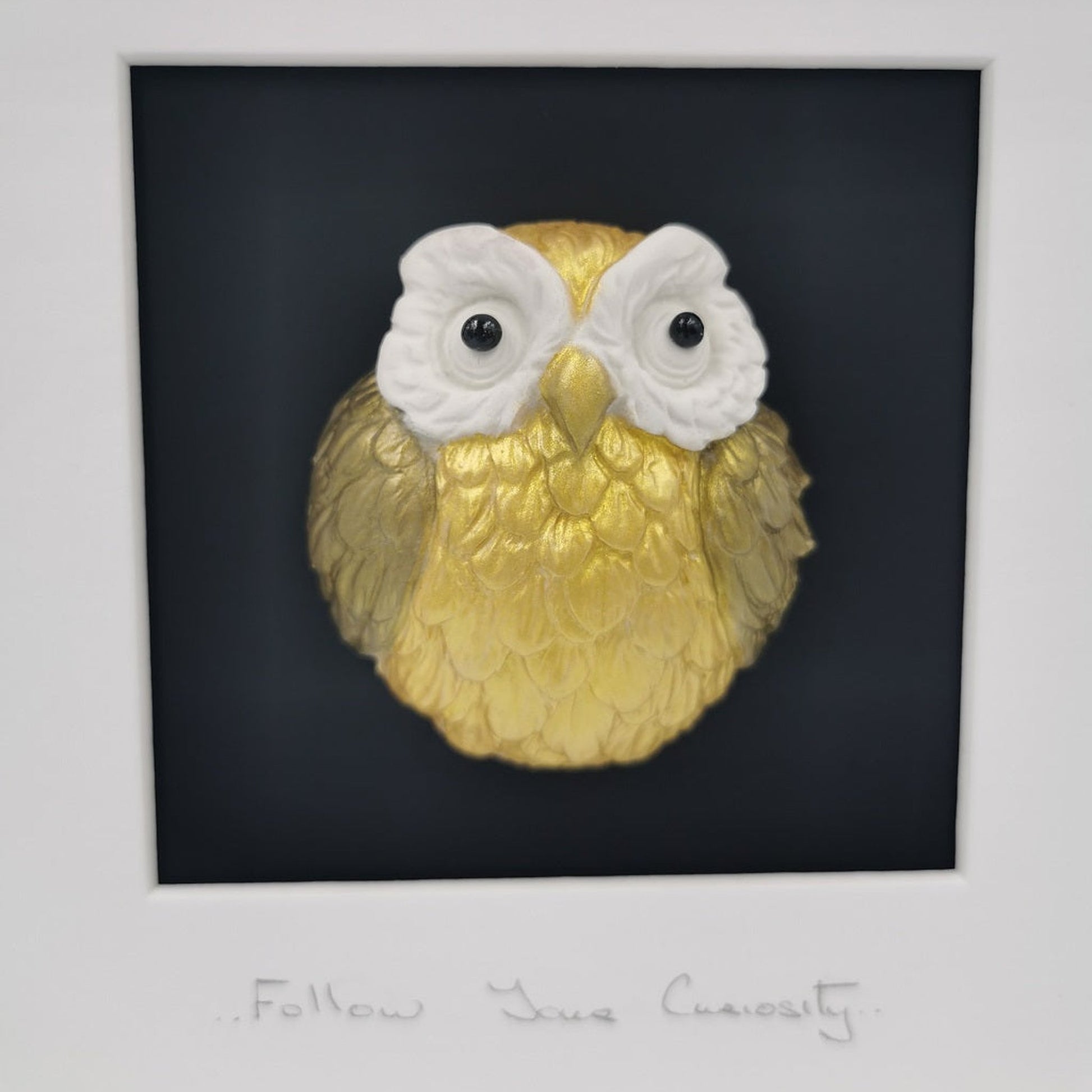 'Follow Your Curiosity'- Clay Owl Wall Art